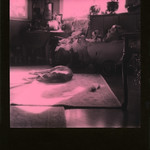 boo's rosy polaroid autumn days...