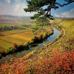 Germany, Felseng&auml;rten bei Hessigheim/Neckar, 75595/9059