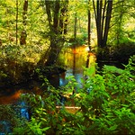 Green river landscape