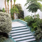 7-La-grande-mosquée-de-paris-carrelage-mosaïque