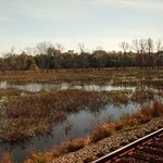 Some wetlands ❤️ #virginia #train