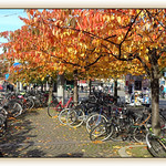 1 of 13 October photos in my part of the world (4)