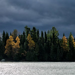 'Silver and Blue, Green and Yellow'