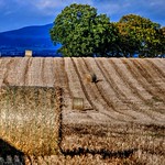 Over The Rolling Hills