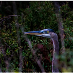 OCTOBER 2017 NGM_5931_2479-222