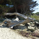 DAY TRIP TO HALF MOON BAY, CALIFORNIA