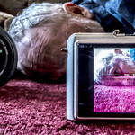 Just Say No To Photography