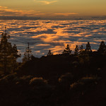 Teide sunset