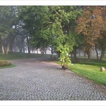 morning...road...park...