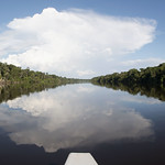 Visiting Anavilhanas National Park