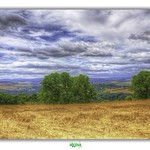 ABORDS DU LIVRADOIS / VALLLEE DE L'ALLIER