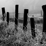 Frozen Fence