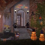 It's the Season of the Witch