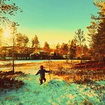 My little lake has already frozen to ice.