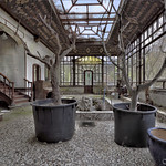 Pot de terre contre pot de plastique.