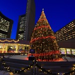 Ladies and gentlemen, I give you &ldquo;my blue hour special&rdquo;, Christmas 🎄 at the Nathan Phillips Square ➡️❤️💛💚💙💜💖Toronto