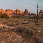 Standing Tall in Canyonlands