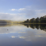 Foggy Lake Macdonald