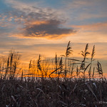 Marshland Sunset