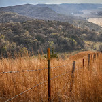 Consumed by Autumn's Beauty ...HFF!