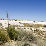 White Sands Landscape