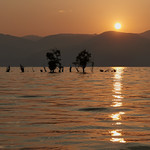 在洱海的一个早晨