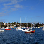 Watsons Bay yachts