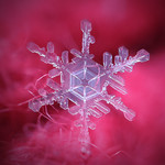 May it be just a start ... Snowflakes n&deg;10 2016