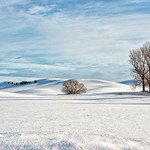 Winter on the Palouse