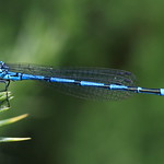 Falmouth Cornwall UK.