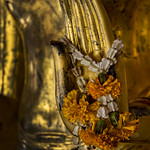 Thailand - Bangkok - Wat Po - Buddha detail 01_DSC6083