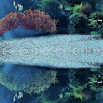 Reflecting and Remembering