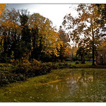 L'&eacute;tang du jardin menac&eacute;