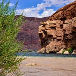 the yellow Paria river merging into the mighty Colorado