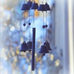 Our Daily Challenge: Ring / Ringing