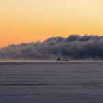 Into the fog - Dans le brouillard