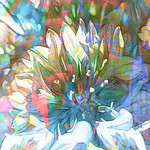 Thoughts turn to Spring