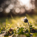 Looking forward to 2018