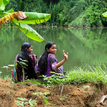 Into the wild. Kerala, India, 2016