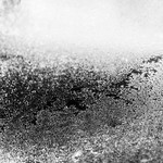 057/365: The last frost...please.