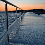 Happy Fence Friday! HFF