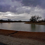 Agua Caliente Regional Park