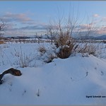 Nugolets de vespr&agrave;