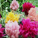 018/365 - explored!!