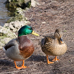 &iquest;Te cuento un secreto?