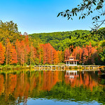 Fairy Lake Botanical Garden / Shenzhen, China(6)