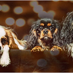 we are always in three