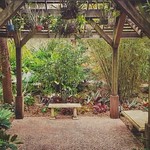 back at the oasis... (HBM)