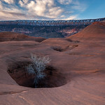 Dance Hall Rock & The Straight Cliffs