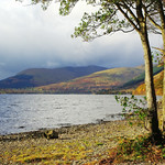 Loch Earn Landscape